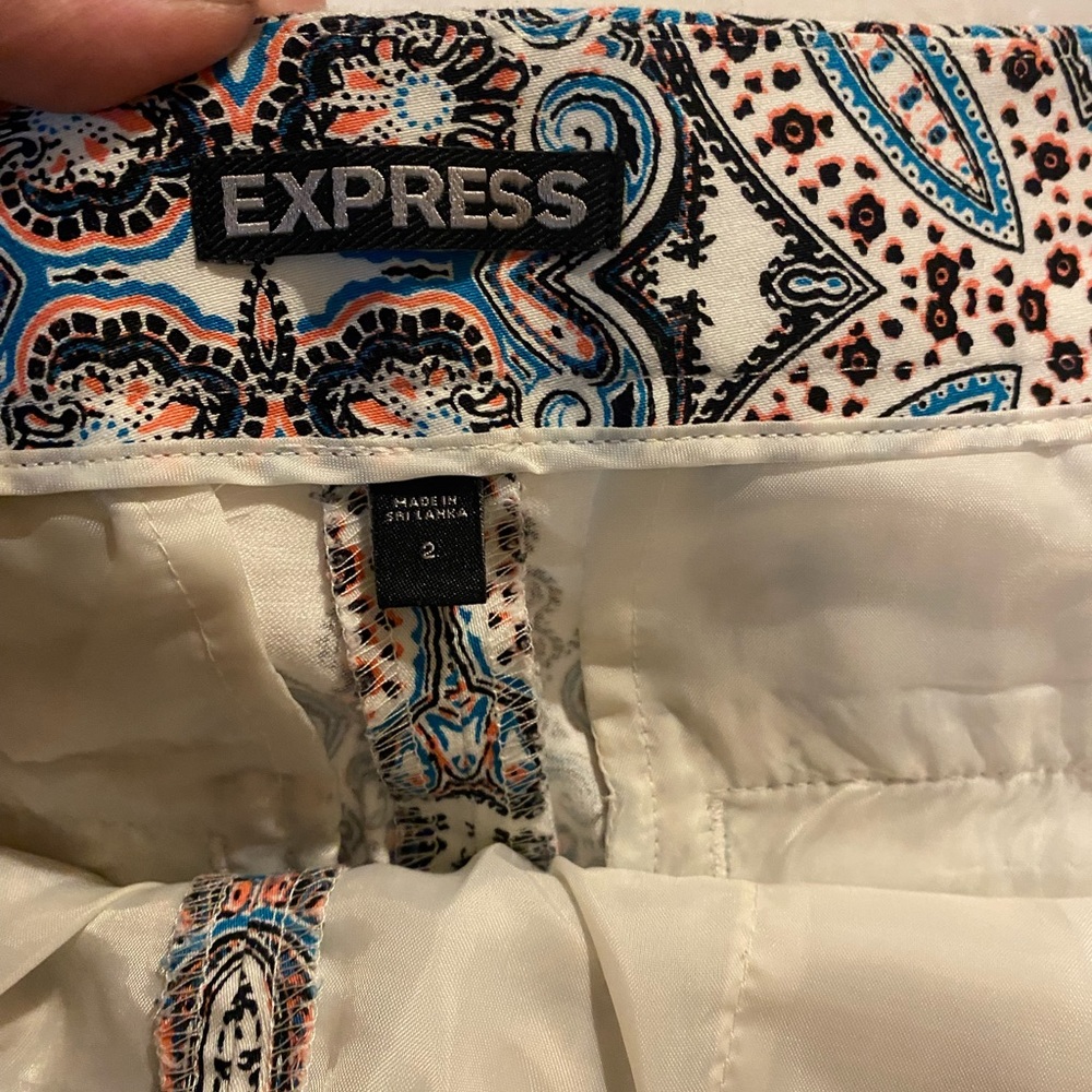 Express Shorts - Picture 3 of 6